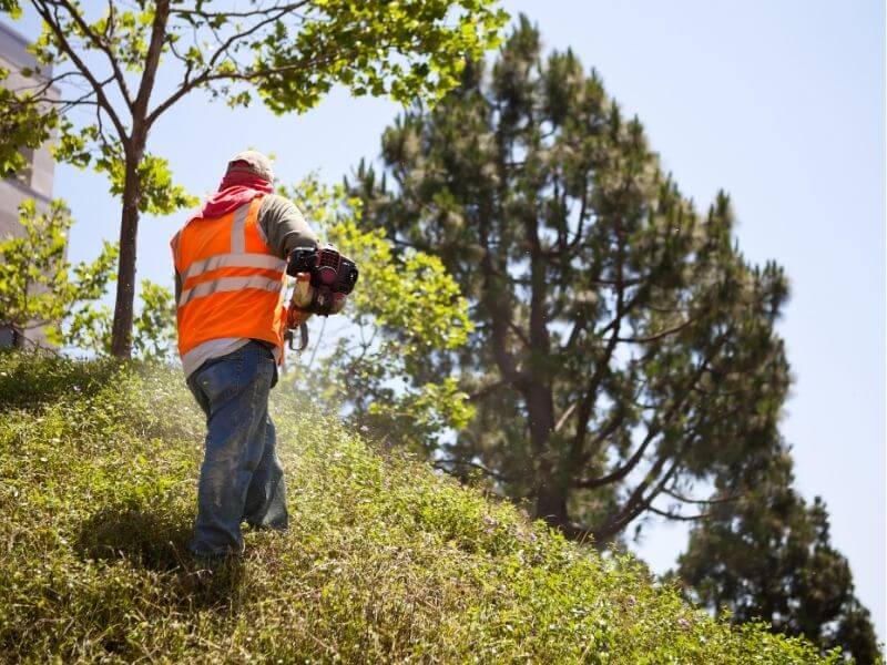 weed control services columbia county